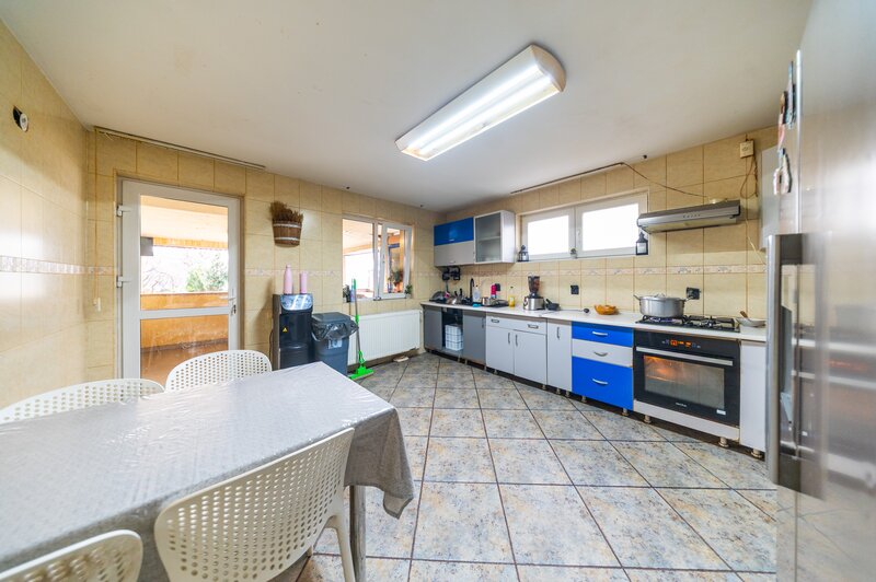 Magurele, de vanzare vila P+1 si hala, ideal investitie, teren 1650 mp!